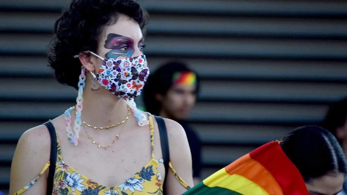 marcha-orgullo-lgbt-bandera 9